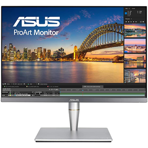 ASUS ProArt PA24AC, 24'', WUXGA, LED IPS, gray - Monitor PA24AC