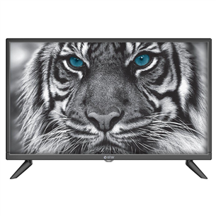 eSTAR D5T2, 24", HD, LED LCD, jalad äärtes, must - TV TVRTEST00028BK