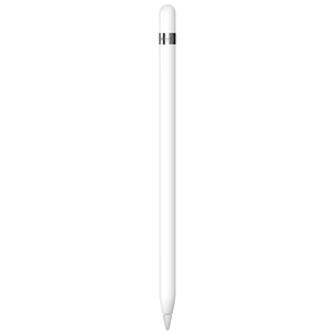 Apple Pencil, 1. generatsioon - Puutepliiats MQLY3ZM/A