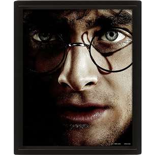 Harry Potter vs Voldemort, 20x25 cm, 3D - Plakat 5051265850065