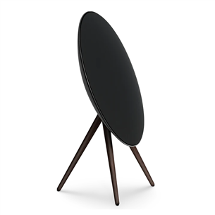 Bang & Olufsen Beosound A9 5.G, black anthracite - Wireless speaker