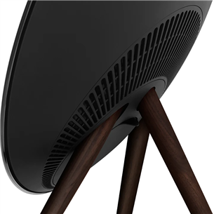 Bang & Olufsen Beosound A9 5.G, black anthracite - Wireless speaker