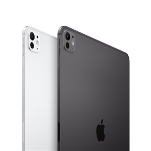 Apple iPad Pro 11”, M4 (2024), 256 GB, läikiv, WiFi + 5G, hõbe - Tahvelarvuti