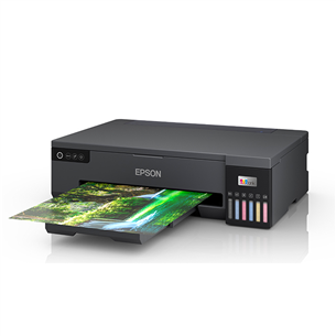 Epson EcoTank L18050, A3+, Wi-Fi, black - Color inkjet/photo printer