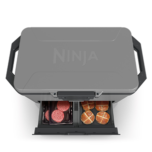 Ninja FrostVault, 47 L, grey - Car cooler