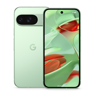 Google Pixel 9, 12 ГБ, 128 ГБ, светло-зеленый - Смартфон GA05840-GB