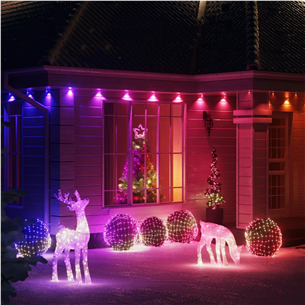 Twinkly Reindeers Stag, RGB, прозрачный - Декоративная светодиодная лампа