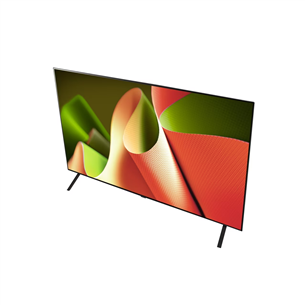 LG OLED AI B4, 55'', OLED, 4K UHD, black - TV