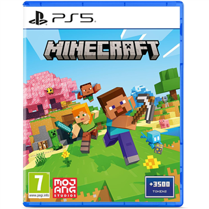 Minecraft, PlayStation 5 - Игра