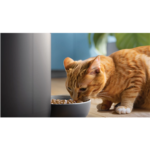 Philips 5000 Series, 4.5 L, dark grey - Smart pet feeder with camera