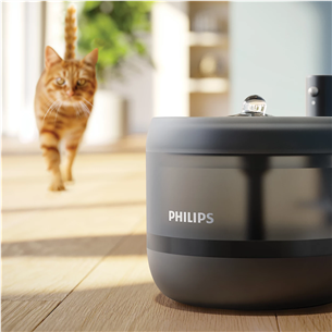 Philips 3000 Series, 2.2 L, dark grey - Pet water fountain