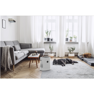 Boneco Hybrid, white - Humidifier & Air Purifier