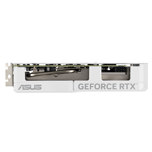 Asus, NVIDIA GeForce RTX 4060, 8 GB GDDR6, 128 bit - Graphics Card