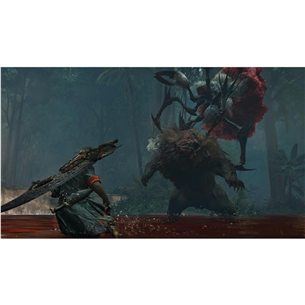 Monster Hunter Wilds, PlayStation 5 - Mäng