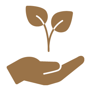 leaf on the hand logo